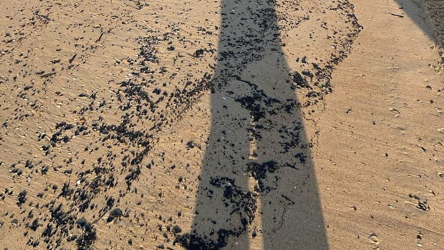 В Анапе вновь зафиксированы выбросы мазута на пляжах Витязево и Джемете