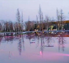 В парке Галицкого открывают «Лесное озеро»