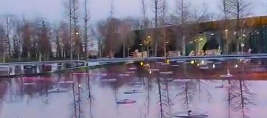 В парке Галицкого открывают «Лесное озеро»