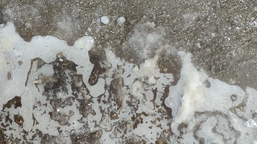 В Краснодарском крае отменили автобусы для школьников из-за гололеда