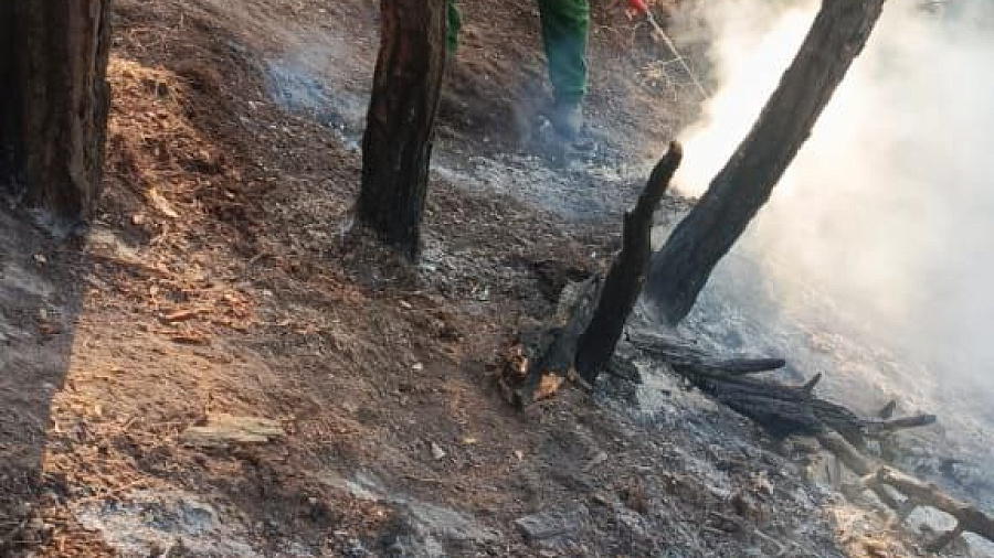 В Архипо-Осиповке второй день горит лес