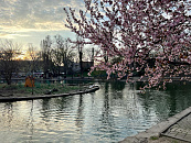 В Краснодаре и крае 27 марта ожидается переменчивая погода: туман, локальные дожди и дневной максимум +17°С