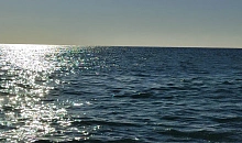 ПВО утром 8 декабря сбила БПЛА над Черным морем