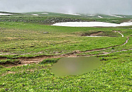 Находящийся под арестом Андрей Гетманов досрочно лишен полномочий мэра Майкопа