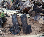 Мины времен войны подорвали в лесу под Новороссийском 