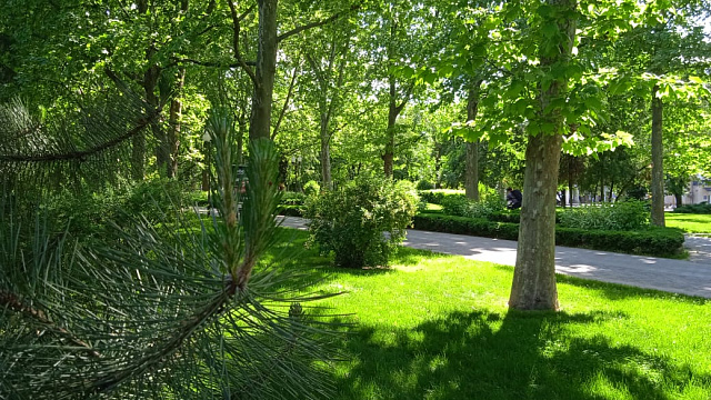 В  конце недели в Краснодаре и крае ожидается потепление до +30°С