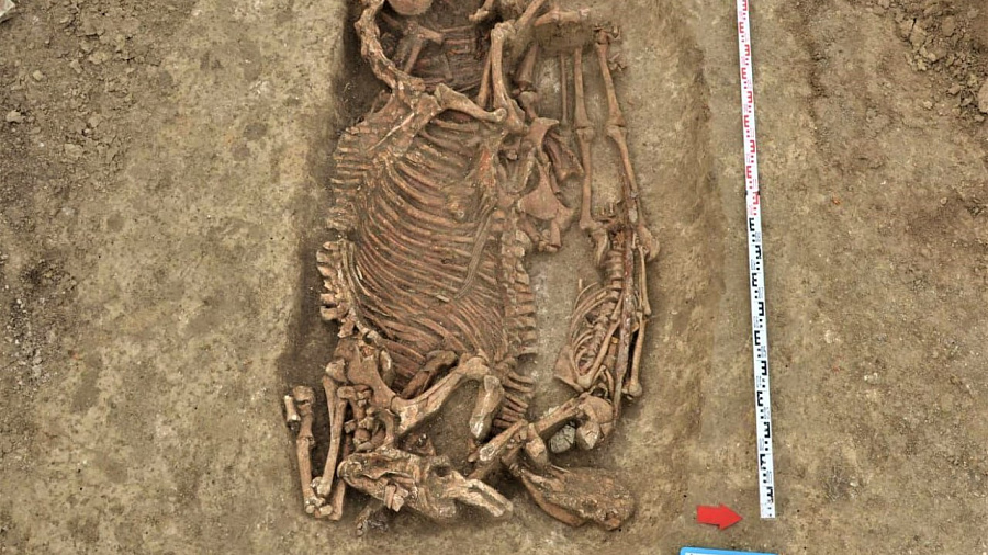 Под Анапой ученые проводят раскопки древнего могильника времен расцвета Римской империи