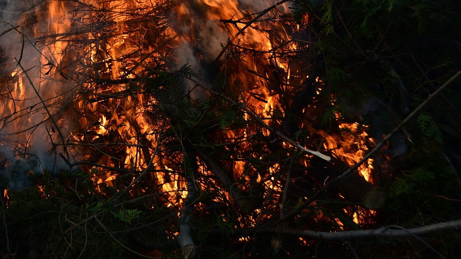 В Туапсинском районе сгорело более 3 гектаров леса