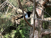 Февральские туры «все включено» в Сочи в 2 раза дешевле летних