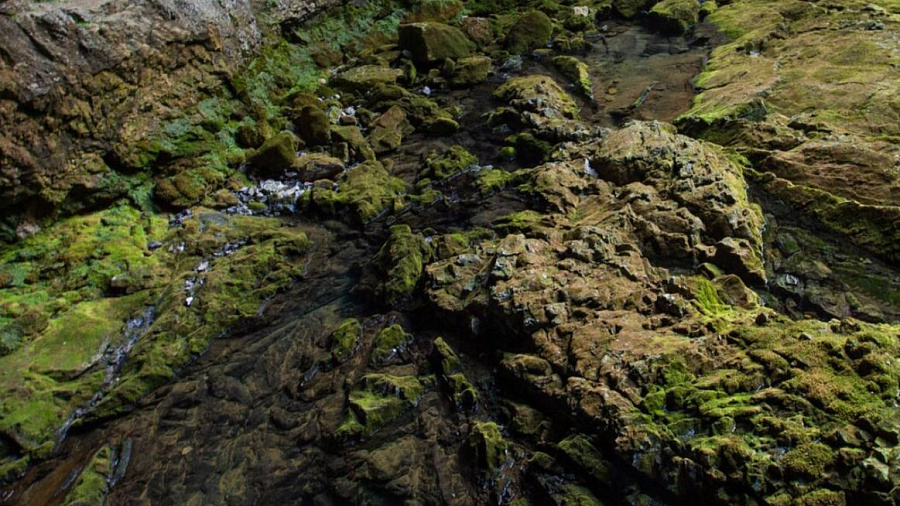 На Алтае археологи обнаружили две пещеры со следами денисовского человека