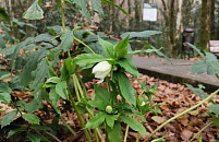Бесплатный корт для падел-тенниса и пляжный стадион строят в Краснодаре