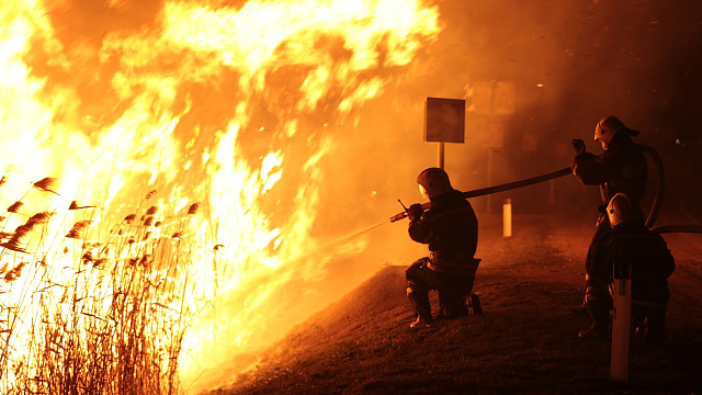 Под Анапой ночью потушили горящие плавни на площади более 40 гектаров