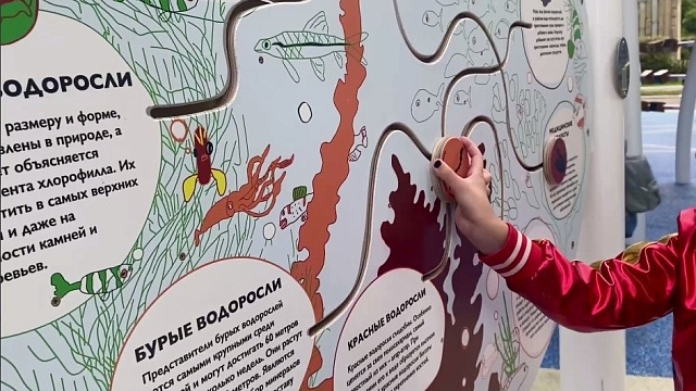 В Сочи сдали в эксплуатацию первую в России научную детскую площадку
