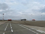 Клещи проснулись раньше срока в Краснодарском крае