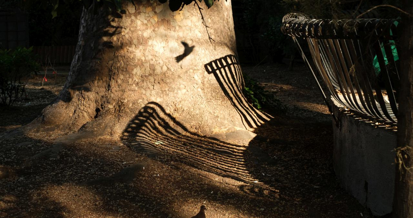 В Краснодаре пройдет итоговая выставка конкурса «Женщины-фотографы России»