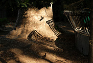 В Краснодаре пройдет итоговая выставка конкурса «Женщины-фотографы России»