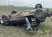 Прокуратура проверяет ферму в Кореновском районе после массовой гибели птиц