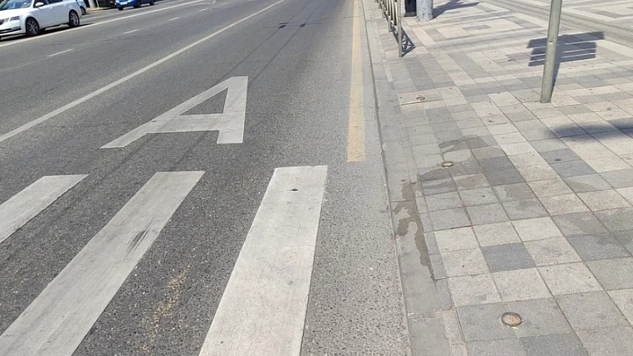 Краснодар увеличит сеть выделенных полос для общественного транспорта до 45 км 