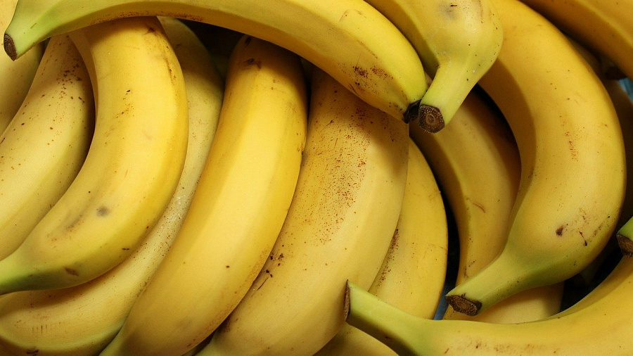 В Краснодарский край пытались ввезти бананы с живыми мухами из Эквадора
