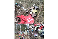 На Кубани сняли на видео зрелищную мурмурацию птиц