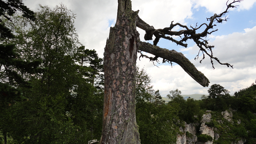 В Гузерипле, а также горных курортах Адыгеи и Кубани во вторник погода сохранит неустойчивый режим: туман и «температурные качели», дожди и мокрый снег