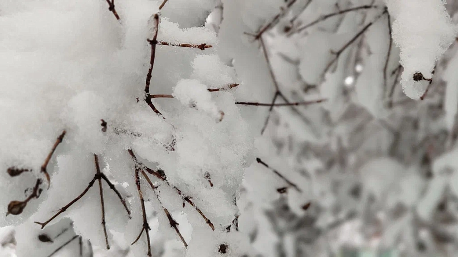 Штормовое предупреждение в Сочи и Сириусе продлили до 14 января 