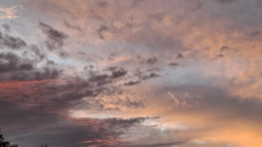 Краснодар окутал вредный смог — сероводород и пыль превысили норму