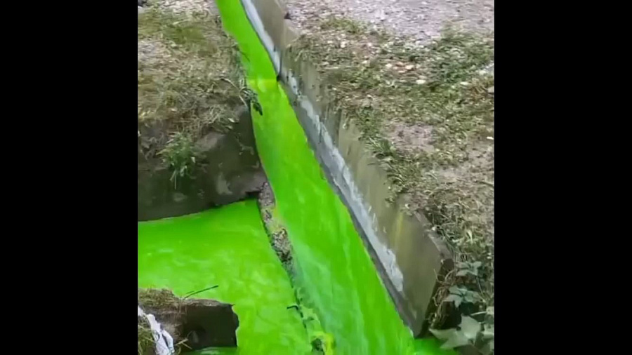 В Новороссийске горожане пожаловались на воду ядовито-зеленого цвета в ливневых канализациях. Видео