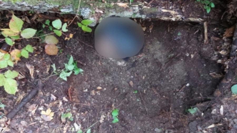 Молодой человек из Адыгеи застрелил 21-летнего жителя Краснодарского края и закопал тело в лесу