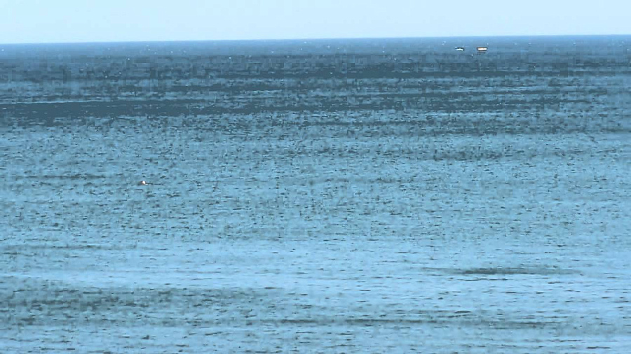 В Анапе двух туристов унесло на матрасе в открытое море