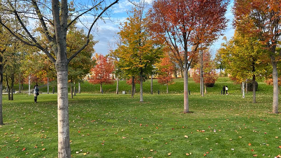 В Краснодаре и крае в  субботу погода сложится по-осеннему: солнце, ветер, комфортные +18°С