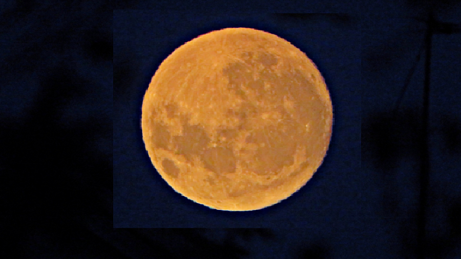 Жители Краснодарского края в августе смогут наблюдать «Голубую Луну»