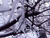 Спасатели деблокировали пассажиров после серьезного ДТП с автобусом в Новороссийске