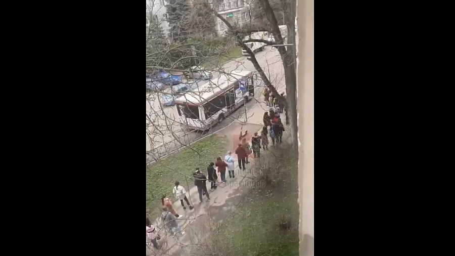 Краснодарцы выстроились в «культурную» очередь на автобус, удивив пользователей Сети
