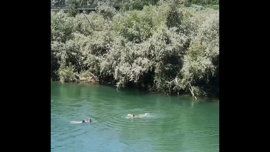  В Краснодарском крае не умеющая плавать девушка спасла двух детей, тонущих в реке. Видео