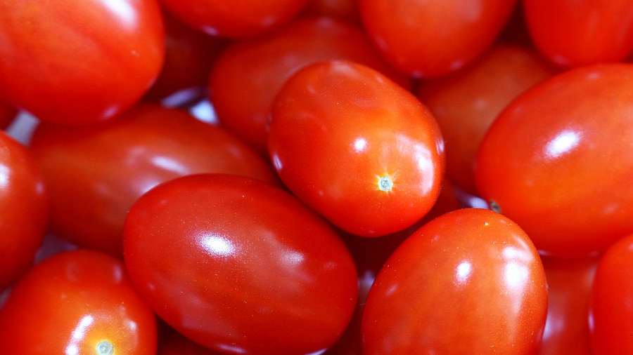 В Краснодарский край пытались ввезти более 23 тонн зараженных томатов