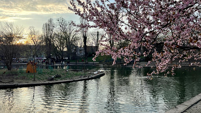 В Краснодаре и крае в середине рабочей недели прогнозируют погоду с дождями, грозами, туманом и дневным максимумом +16°С