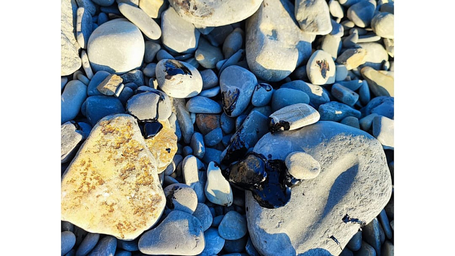 В Новороссийске местные жители обнаружили куски мазута на диком пляже