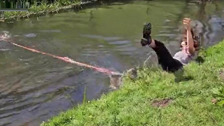 Пес, который чуть не утопил хозяйку в реке, рассмешил Сеть