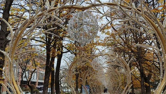 Улица Красная в Краснодаре зажглась новогодними звездами и арками