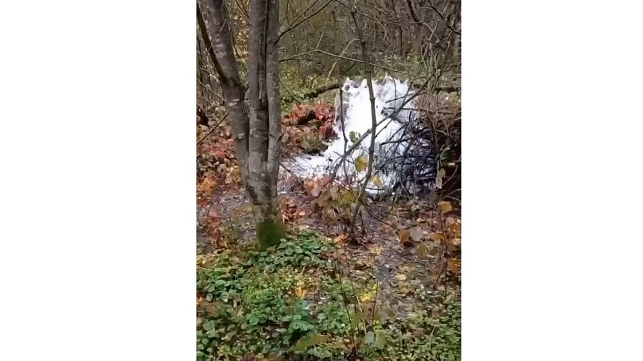 В Новороссийске дефицитная вода из Неберджаевского водохранилища утекает в лес