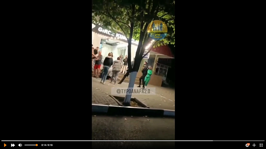 В Анапе участник уличной драки «взял на таран» сотрудника ППС и попал на видео