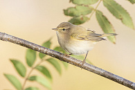 В Сочи туристам ограничили доступ к маршруту, ведущему к озеру Кардывач