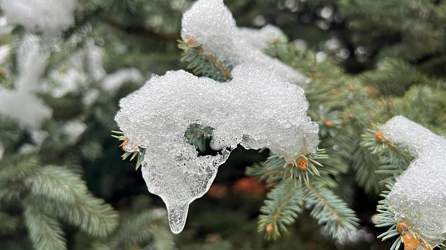 В Краснодаре и крае в середине рабочей недели погода принесёт опасный комплекс метеоявлений: снегопад, гололедицу и стремительное похолодание