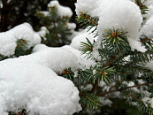 «Температурные качели», гололедица и мокрый снег: в Краснодаре и крае 16 января прогнозируют нестабильную погоду