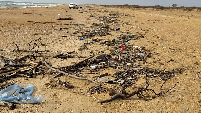 Заваленный мусором и трупами животных «апокалипсический» пляж в Анапе попал на видео 