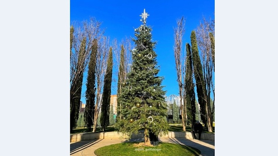 В парке «Краснодар» украсили новогоднюю елку