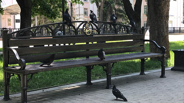 В Краснодаре и крае в субботний выходной ожидается малооблачная погода, прекращение дождей и «температурные качели»