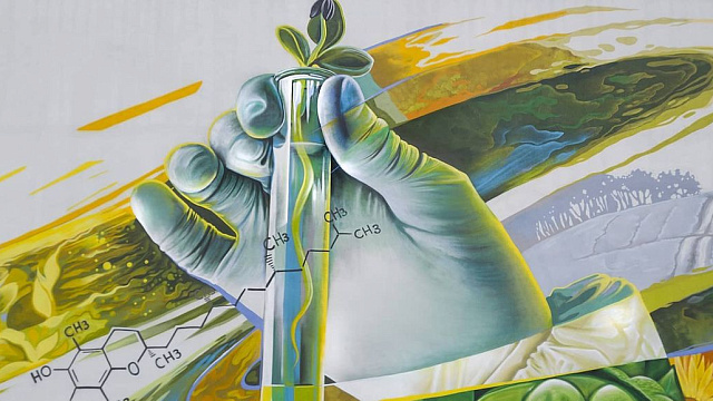 В Краснодаре граффитист превратил здания института масличных культур в арт-объект