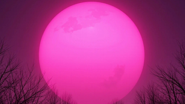 Жители Кубани увидят Розовую Луну в начале апреля